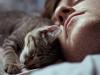 Rüya yorumu kedi, kediler neden rüya görür?
