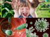 Kot gegen Typhus.  Test auf Typhus.  Tests auf Salmonellose bei Kindern