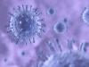 Chrípka je najnebezpečnejšia vírusová infekcia